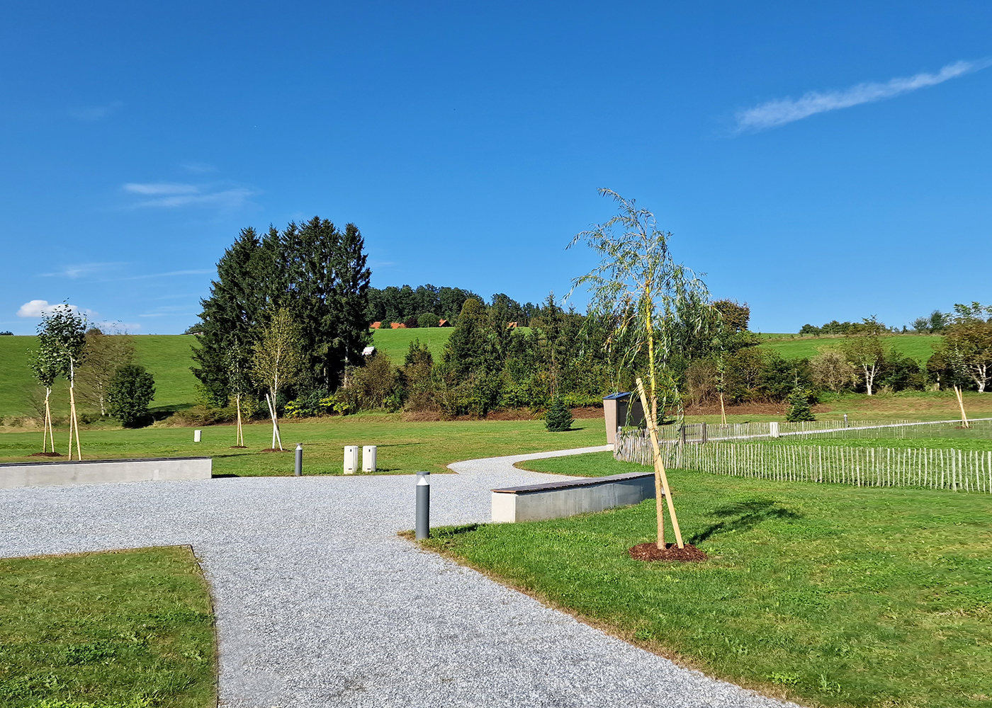 Baumbestattung