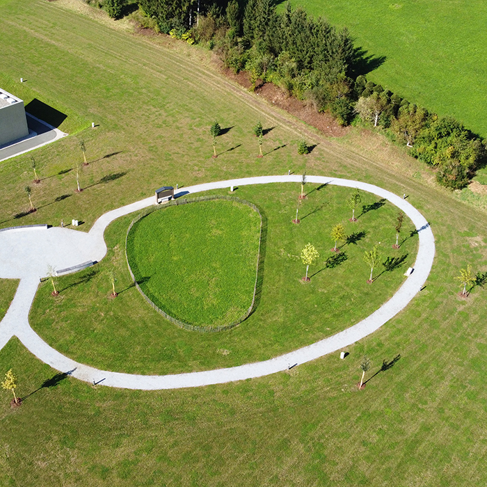 Baumbestattung und Blumenstreuwiese